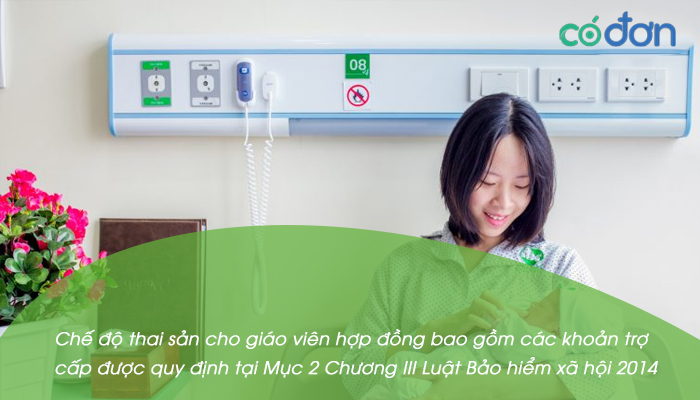 che do thai san cho giao vien hop dong 2