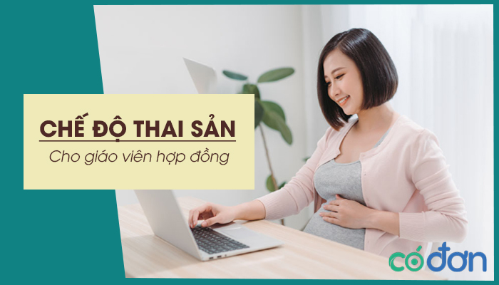 che do thai san cho giao vien hop dong