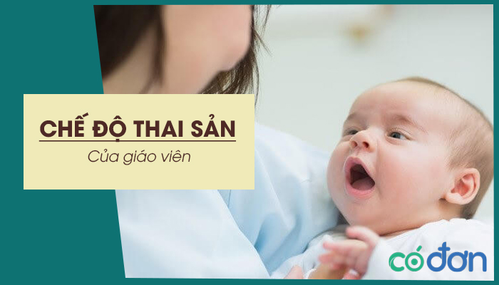 che do thai san cua giao vien nam 2022