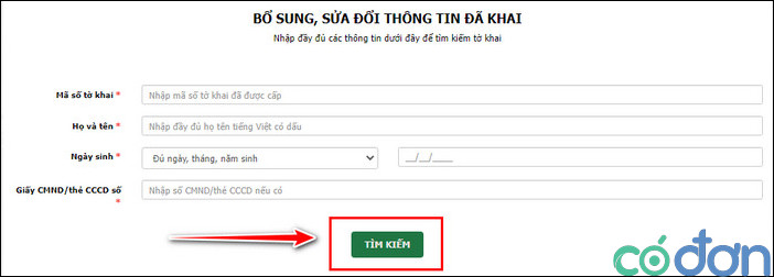 huong dan dien to khai dien tu cap ho chieu pho thong 6