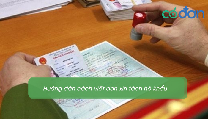 mau don xin tach ho khau 3