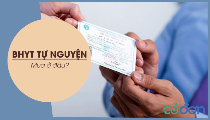 mua bao hiem y te tu nguyen o dau
