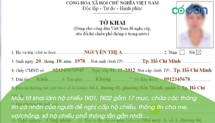noi dung to khai de nghi cap ho chieu pho thong 