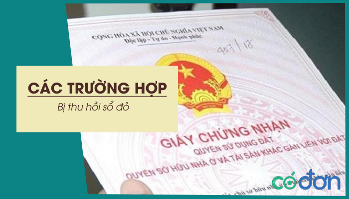 05 truong hop bi thu hoi so do nguoi dan can biet