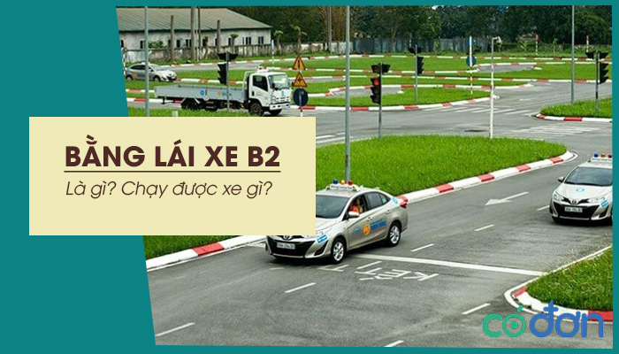 bang lai xe b2 la gi bang lai xe b2 chay duoc xe gi