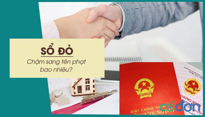 cham sang ten so do phat bao nhieu