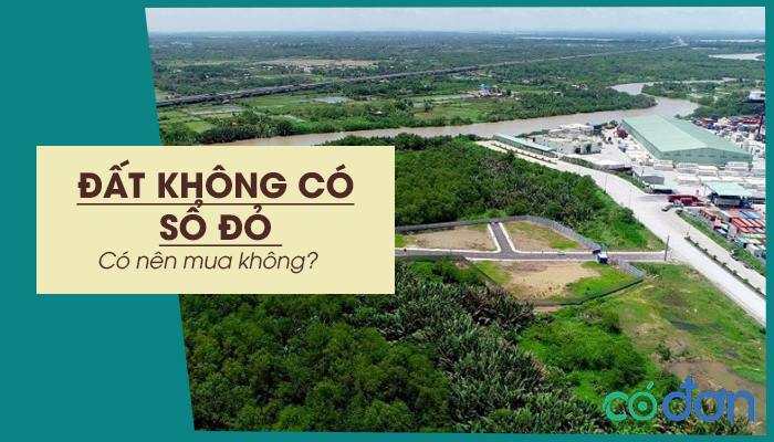 co nen mua dat khong co so do khong