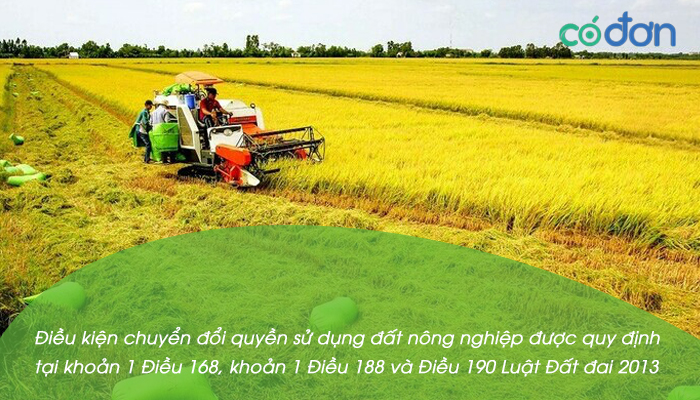 dieu kien thu tuc chuyen doi quyen su dung dat nong nghiep 2