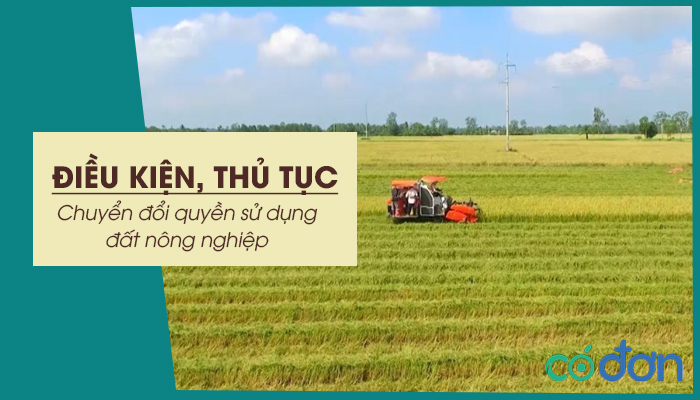 dieu kien thu tuc chuyen doi quyen su dung dat nong nghiep