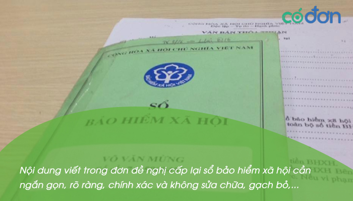 cach viet mau don de nghi cap lai so bhxh 2