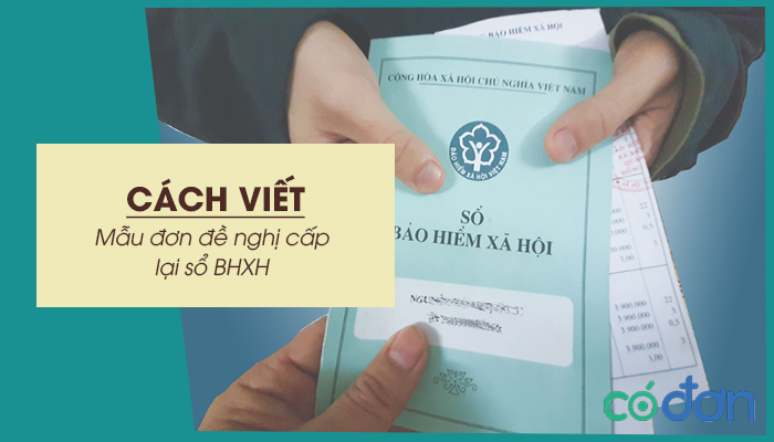 cach viet mau don de nghi cap lai so bhxh