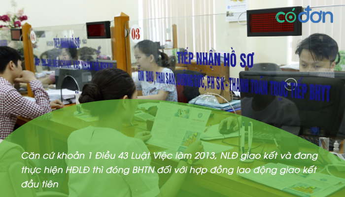 lam viec tai nhieu cong ty dong bhxh the nao 2