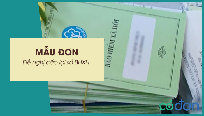 mau don de nghi cap lai so bhxh nam 2022