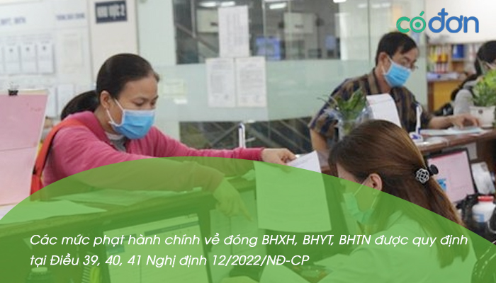 muc phat cac vi pham ve bhxh bat buoc bhyt bhtn thuong gap 2