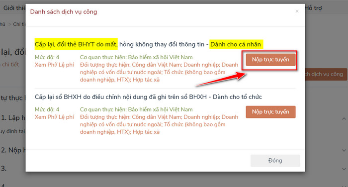thu tuc cap lai the bhyt bi mat 4