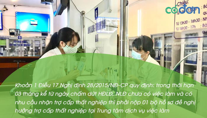 lam bao hiem that nghiep o dau 2