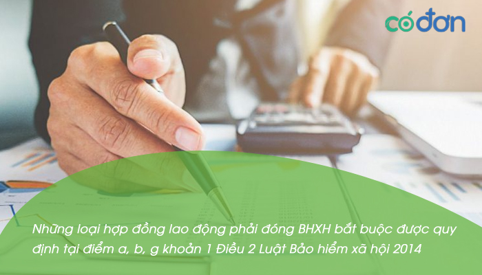 nhung loai hop dong lao dong phai dong bhxh bat buoc 2