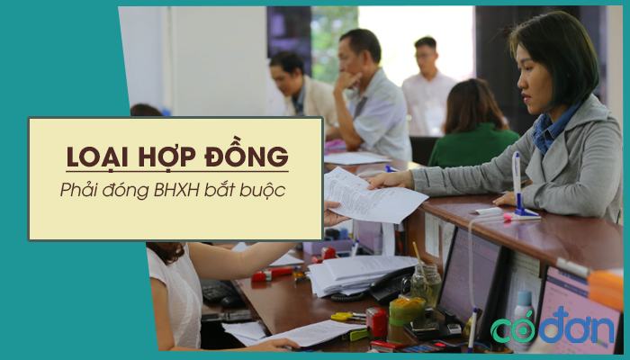 nhung loai hop dong lao dong phai dong bhxh bat buoc