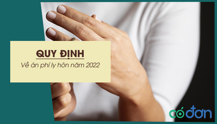 quy dinh ve an phi ly hon nam 2022
