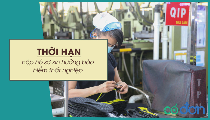 thoi han nop ho so xin huong bao hiem that nghiep
