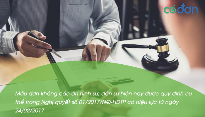 mau don xin khang cao an hinh su 2