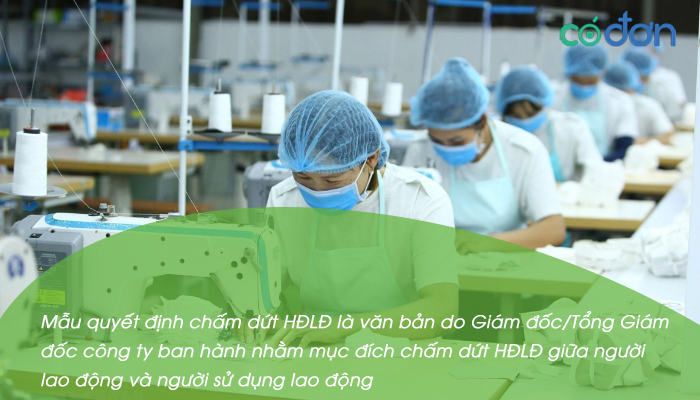 mau quyet dinh cham dut hop dong lao dong 2
