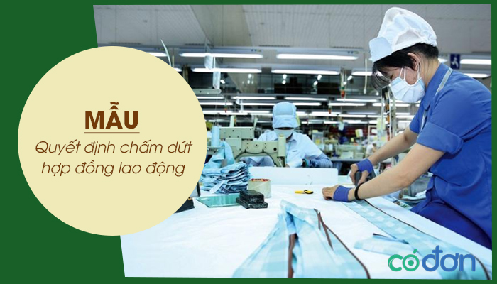 mau quyet dinh cham dut hop dong lao dong