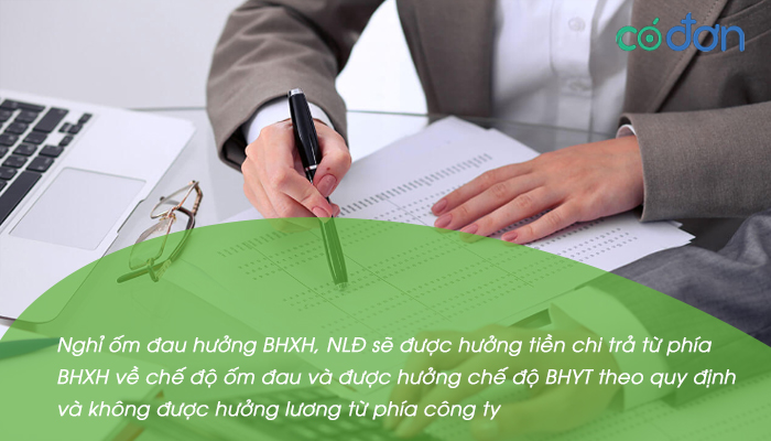 nghi om dau co duoc huong luong khong 2