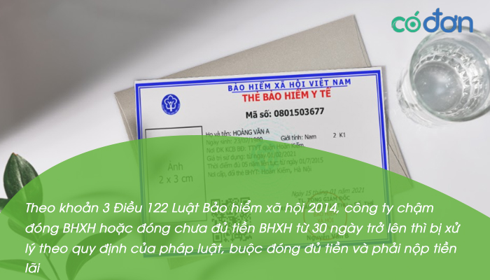 cong ty no tien bao hiem co duoc cap the bhyt khong 2