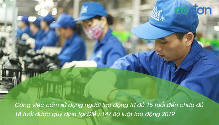 cong viec cam su dung nld tu du 15 tuoi den chua du 18 tuoi 2