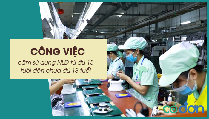cong viec cam su dung nld tu du 15 tuoi den chua du 18 tuoi