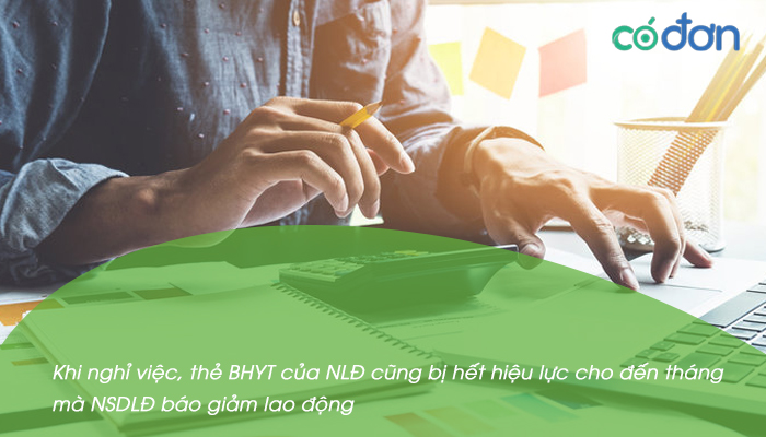 da nghi viec huong bhyt nhu the nao 2