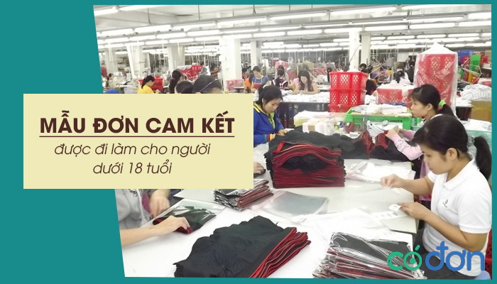 mau don cam ket duoc di lam cho nguoi duoi 18 tuoi