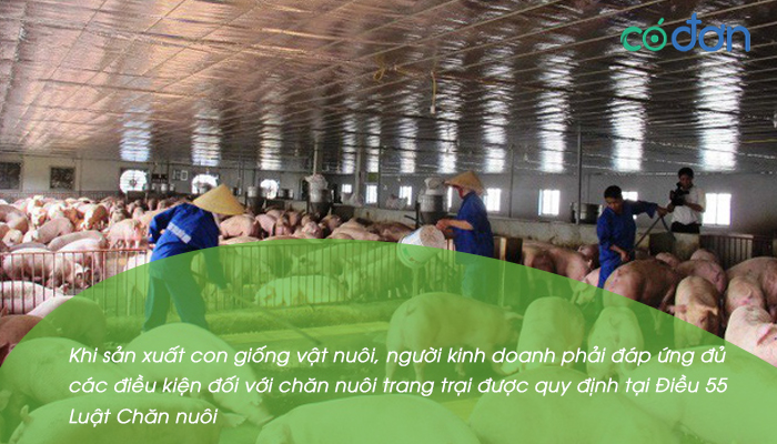 dieu kien kinh doanh giong cay trong giong vat nuoi 2