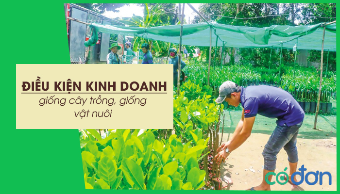 dieu kien kinh doanh giong cay trong giong vat nuoi