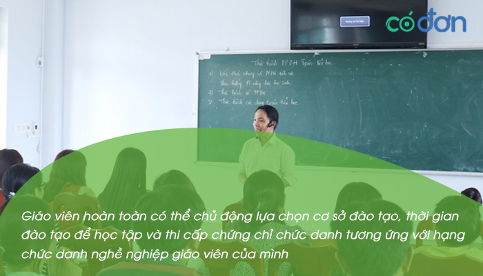 giao vien co duoc tu di hoc chung chi chuc danh nghe nghiep 2