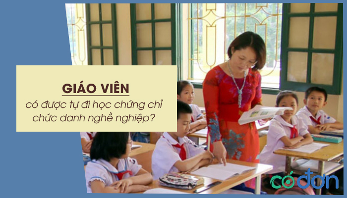 giao vien co duoc tu di hoc chung chi chuc danh nghe nghiep