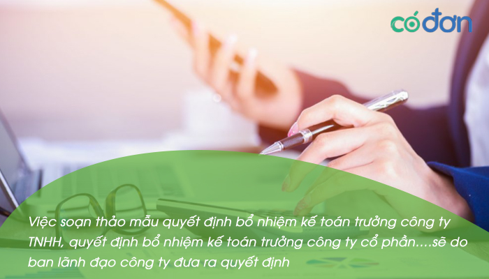 mau quyet dinh bo nhiem truong phong ke toan truong cong ty 2