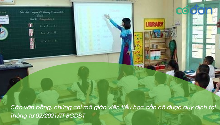 nhung bang cap chung chi giao vien can co 2
