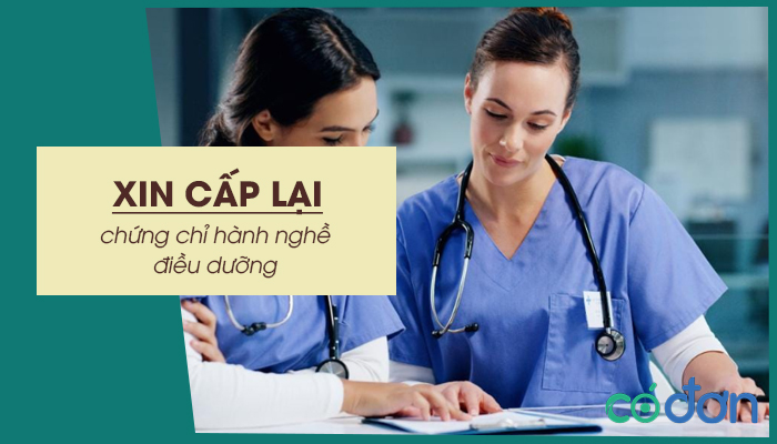 xin cap lai chung chi hanh nghe dieu duong