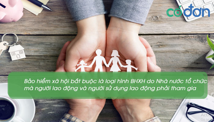 bao hiem xa hoi 2