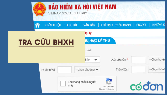 tra cuu bhxh