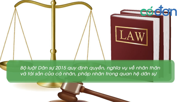bo luat dan su 2015 2