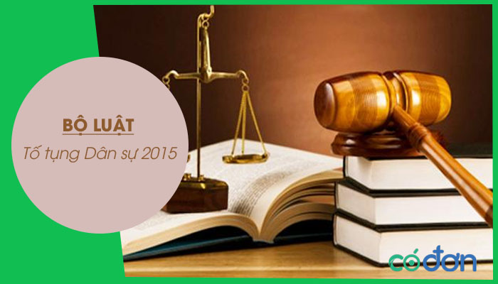 bo luat to tung dan su 2015