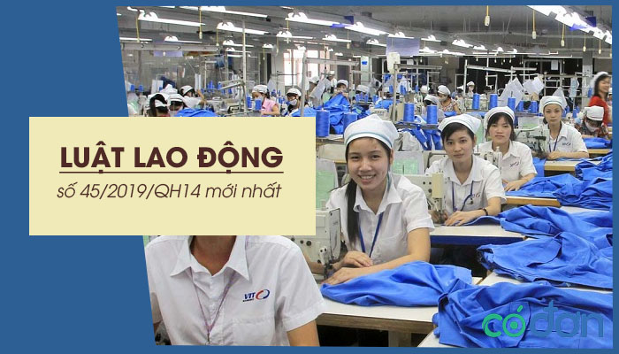 luat lao dong
