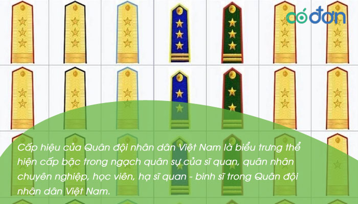 quan ham quan doi 2