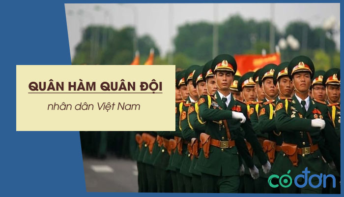 quan ham quan doi