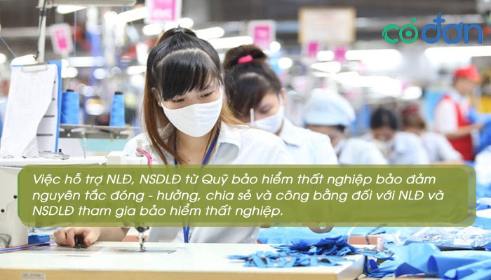nghi quyet 116 2
