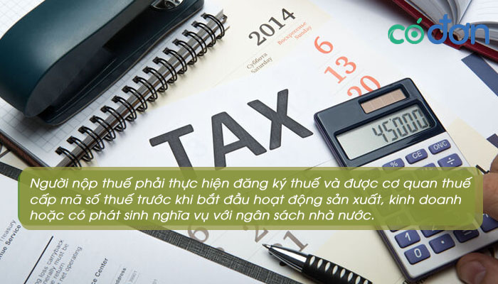 luat quan ly thue 2