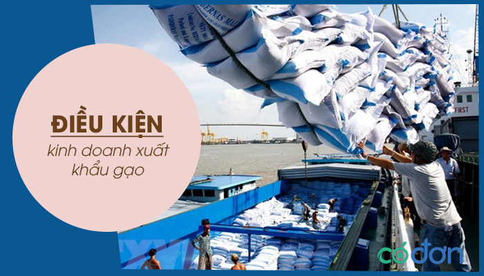 dieu kien kinh doanh xuat khau gao
